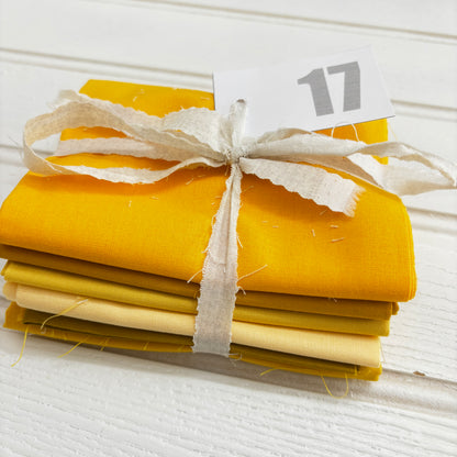 Yellow solid and blender bundle 17
