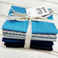Blue solid and blender bundle 31