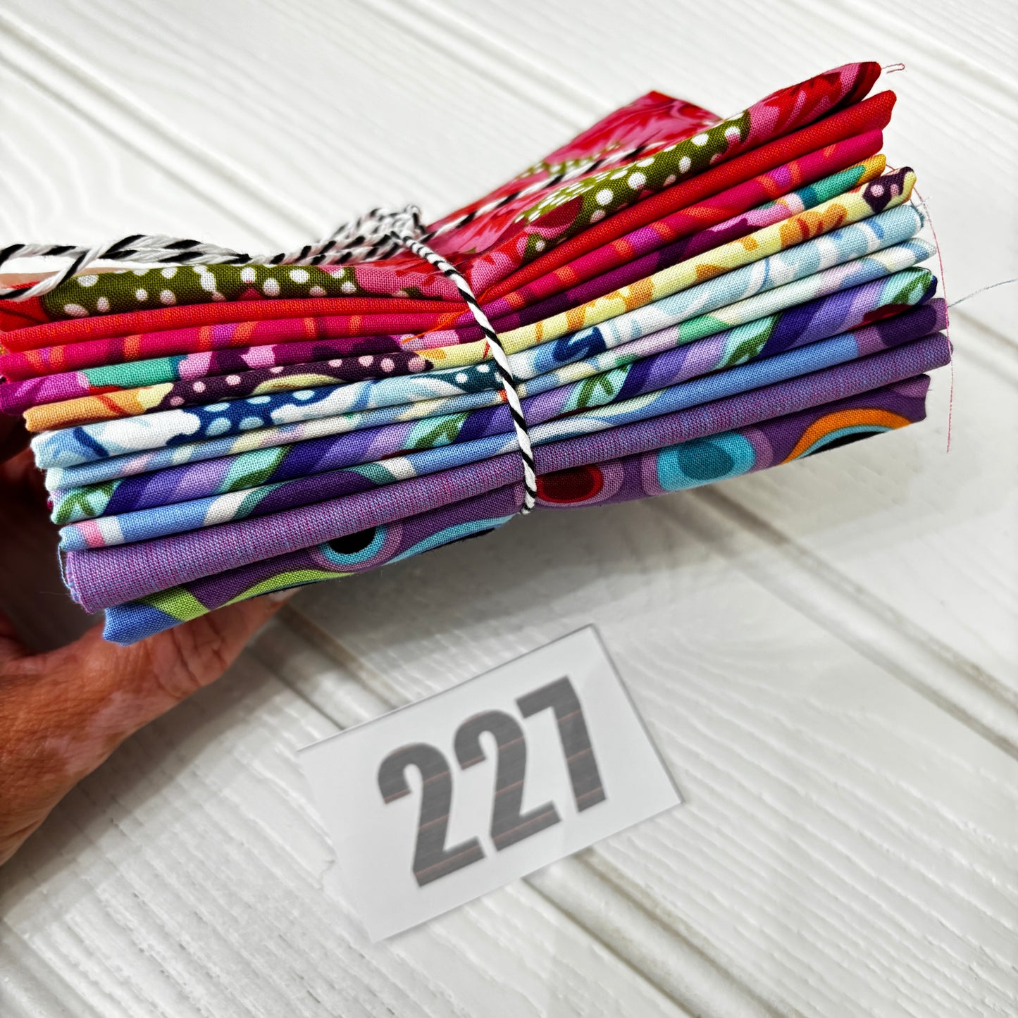 Kaffe Fassett print and shot cotton Bundle 227