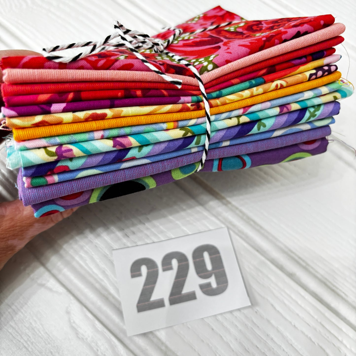 Kaffe Fassett print and shot cotton Bundle 229